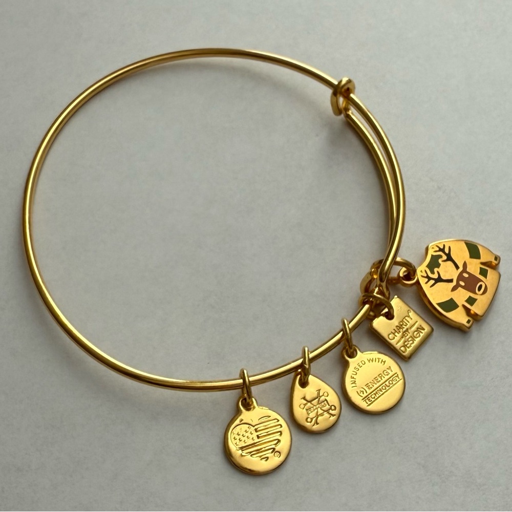 Alex and Ani Charity by Design Ugly Sweater
Bangle Shiny Gold One Size - Picture 2 of 2